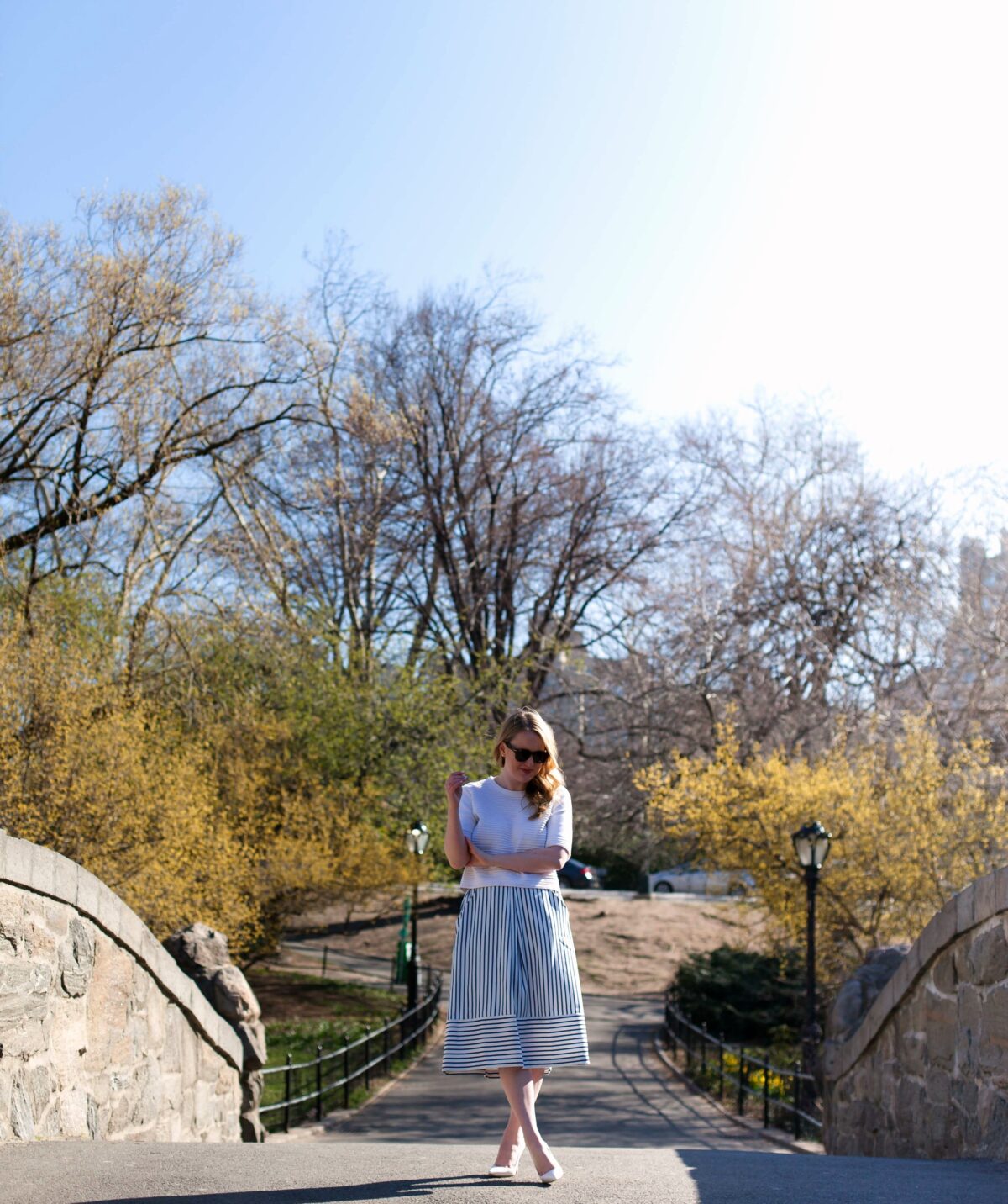 wit & whimsy :: Central Park