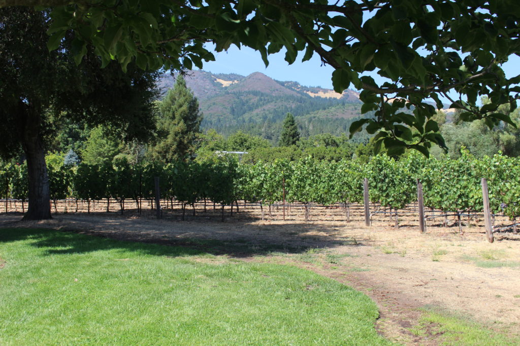 Landmark Vineyards, California I wit & whimsy