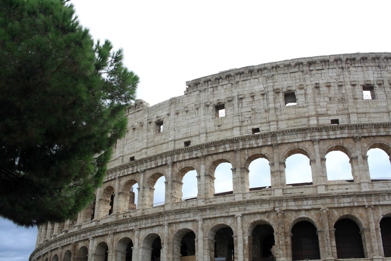 Colosseum I wit & whimsy