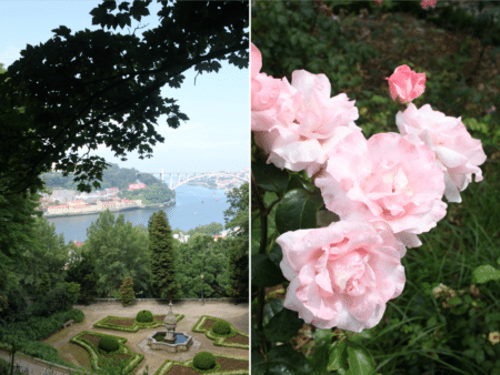 What to Do in Porto, Portugal I wit & whimsy