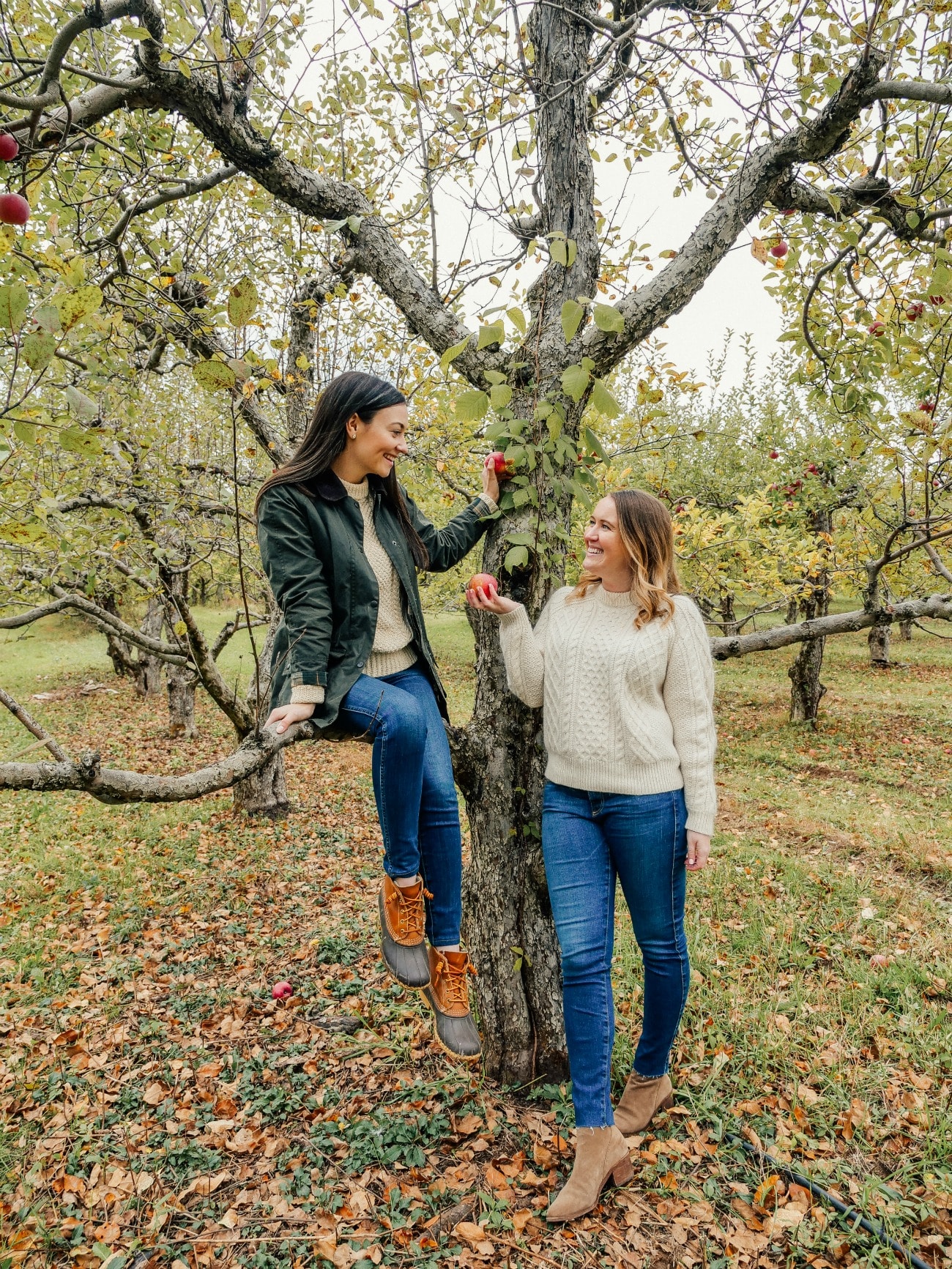 Apple picking The Catskills I wit & whimsy