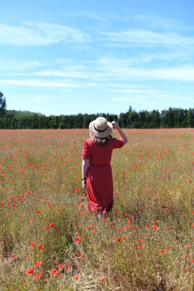 Provence Poppy Fields I wit & whimsy