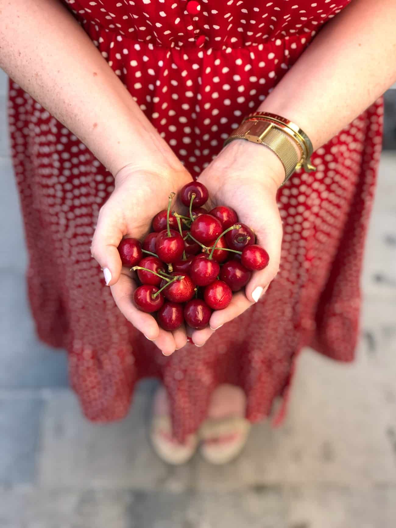 Provence Cherries | Where we stayed in Provence 