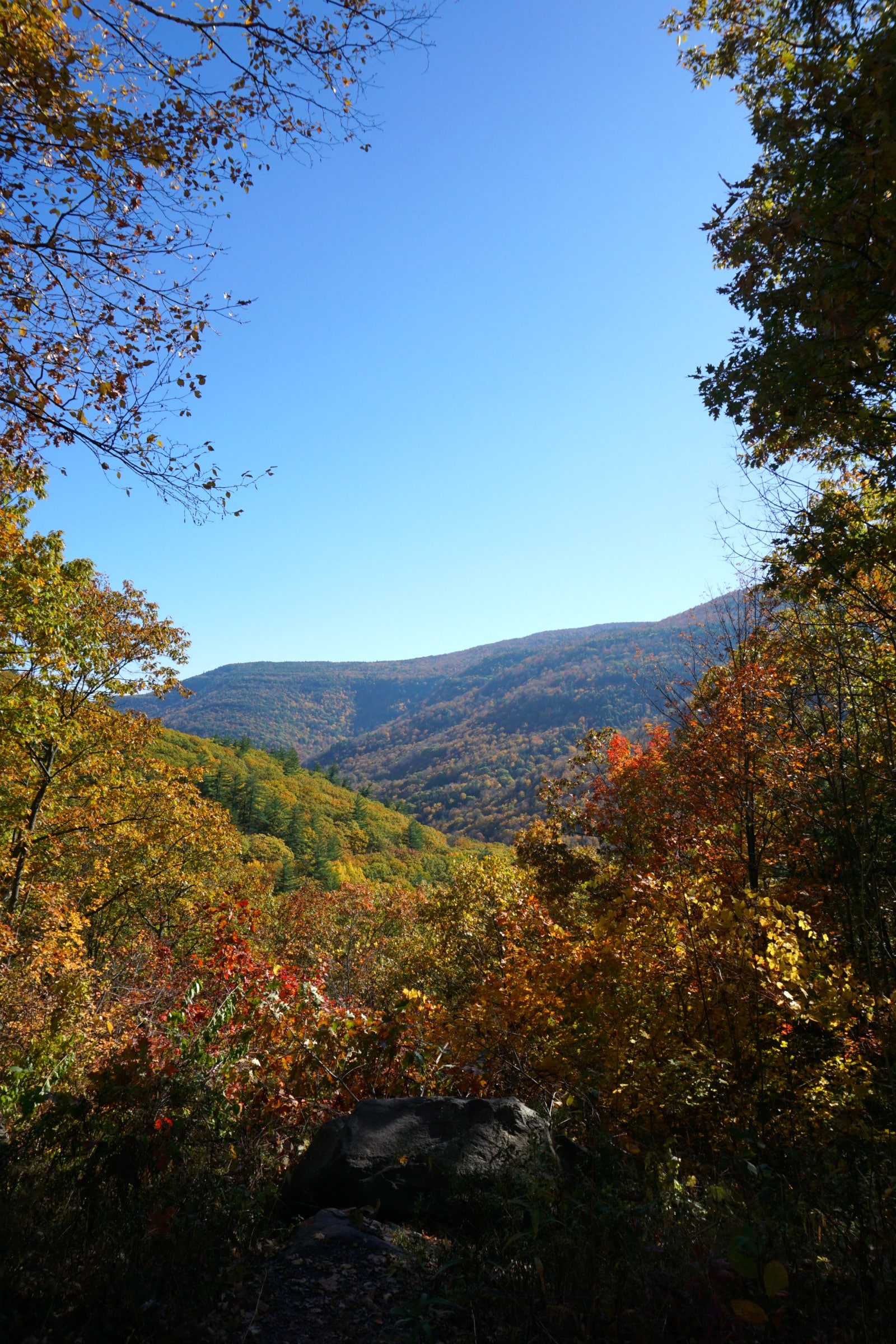 Fall in the Catskills I wit & whimsy