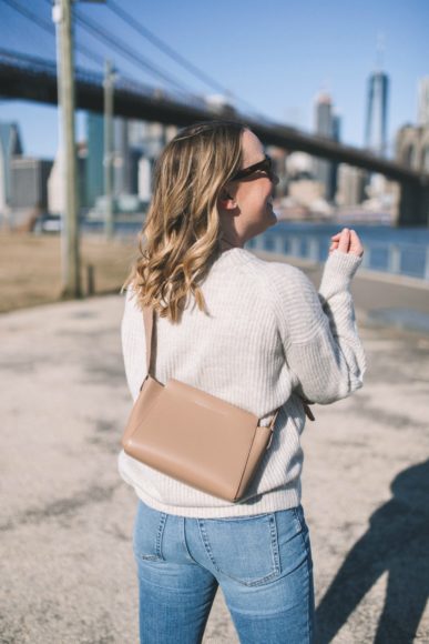 Everlane Mini Form Bag I wit & whimsy