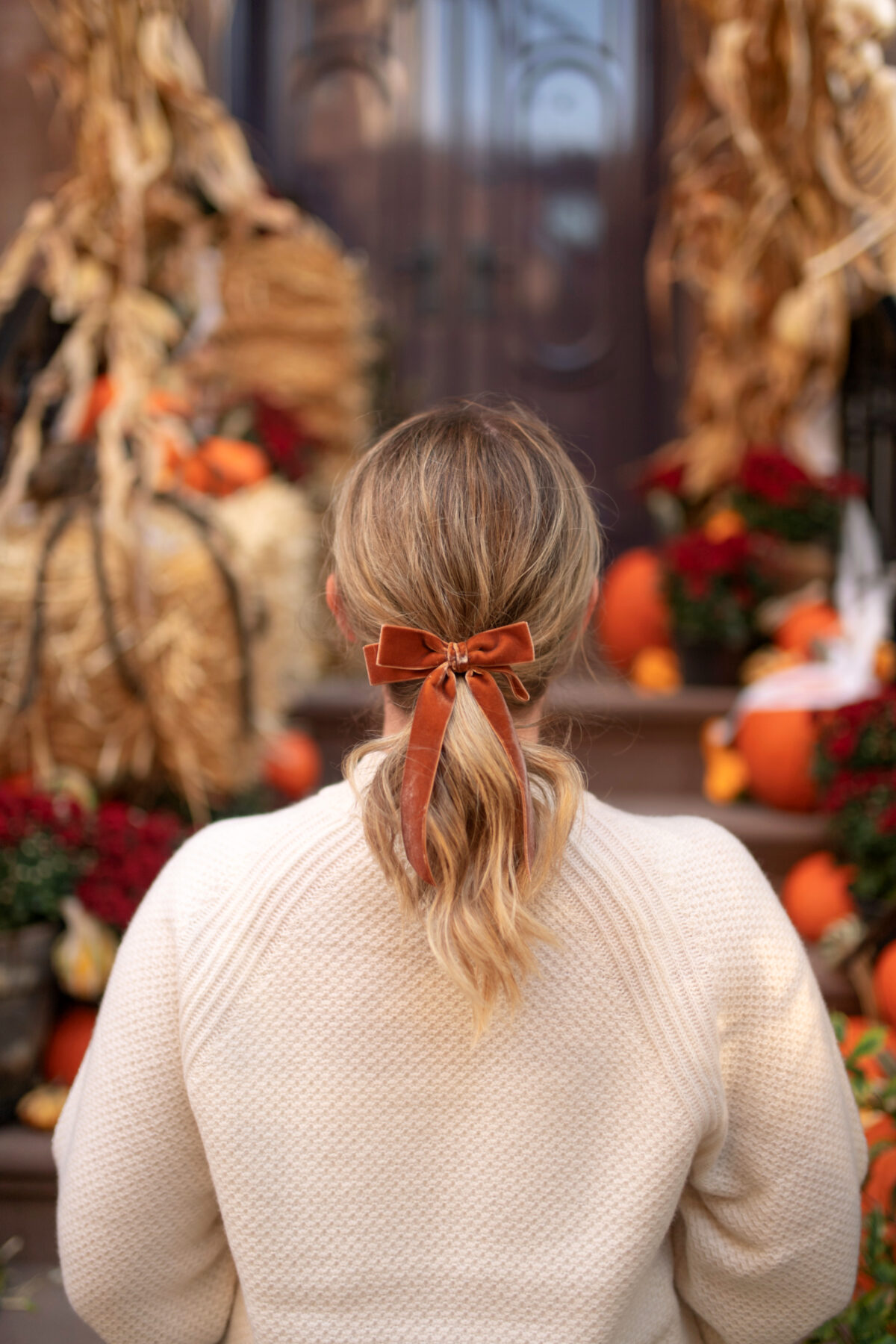 Velvet Bow I wit & whimsy