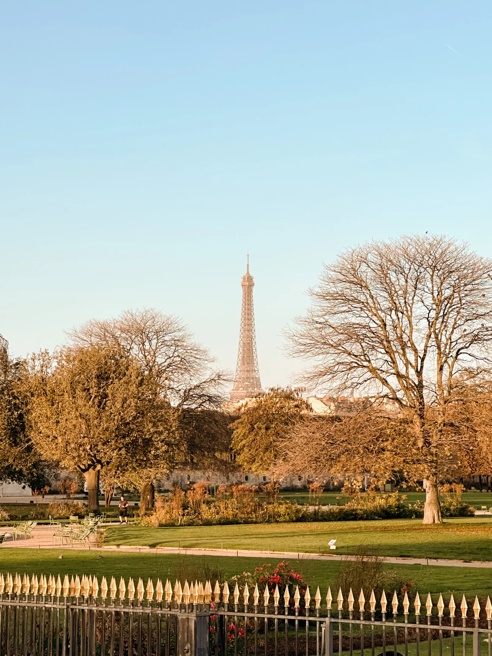 Eiffel Tower Views in Paris from the Tuileries