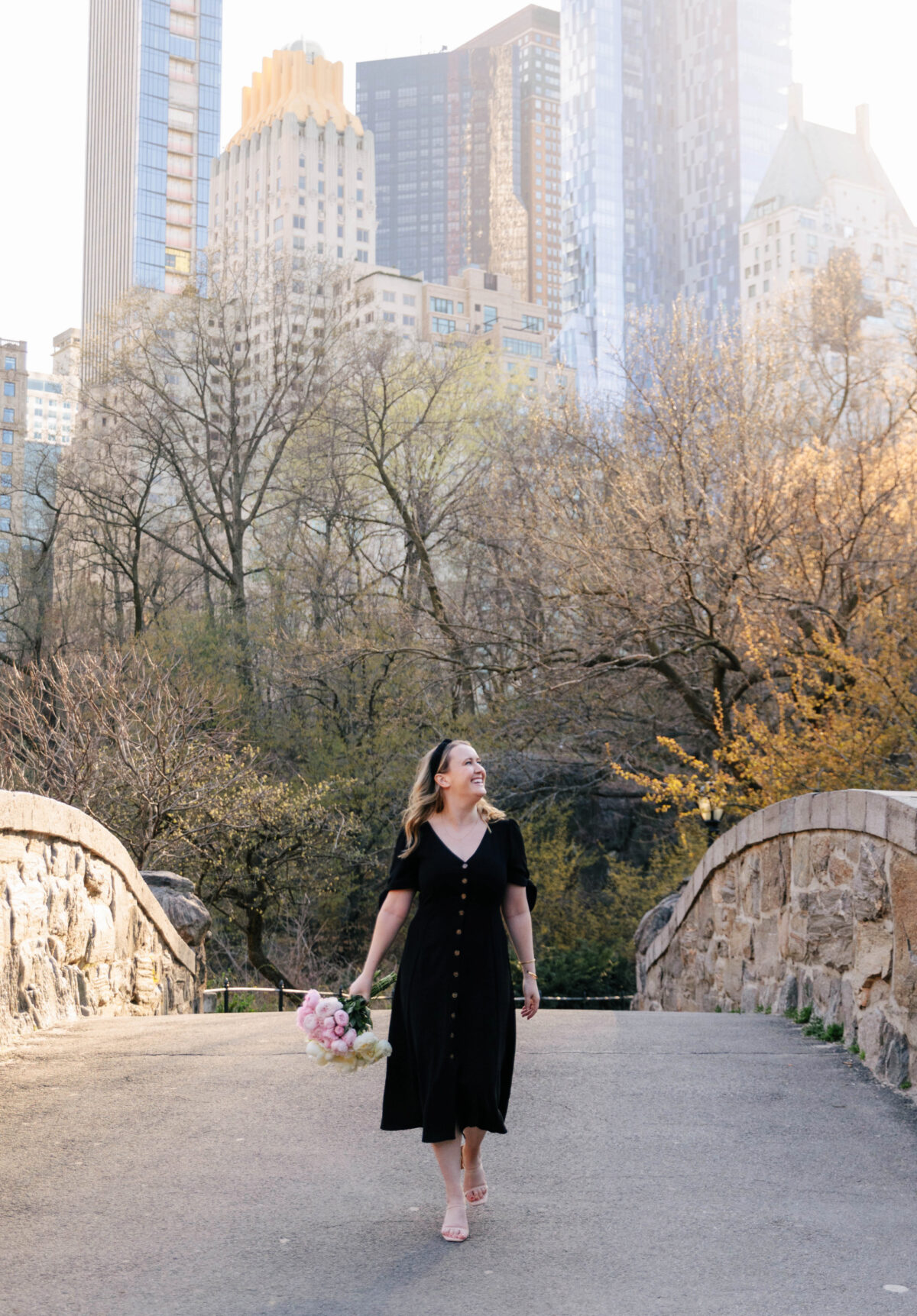 Central Park Bridge