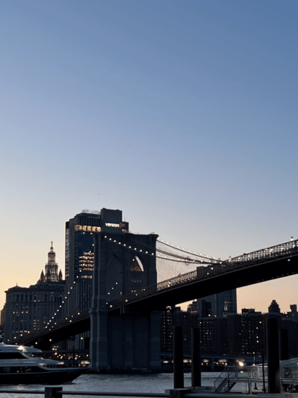 What to do in Dumbo