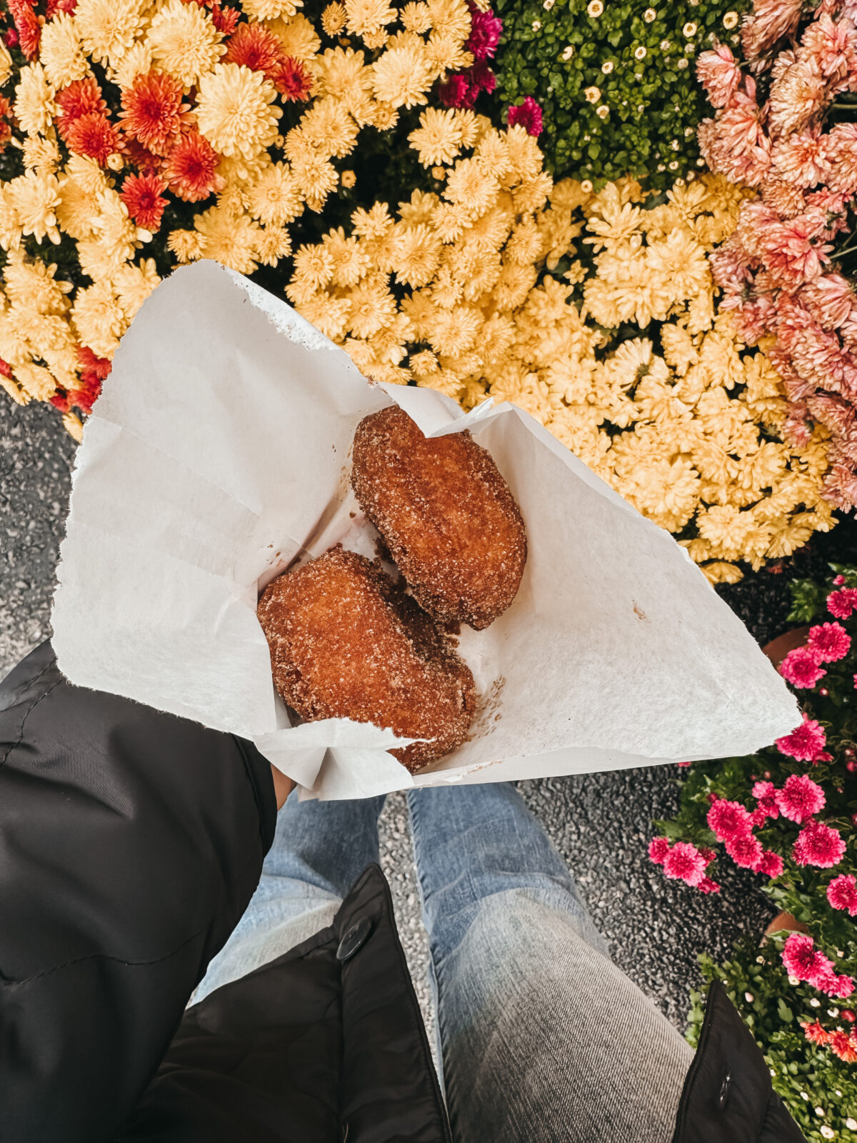 Berkshires In The Fall Travel Guide wit & whimsy