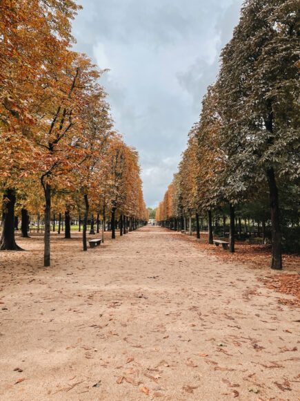 Tuileries Paris Fall