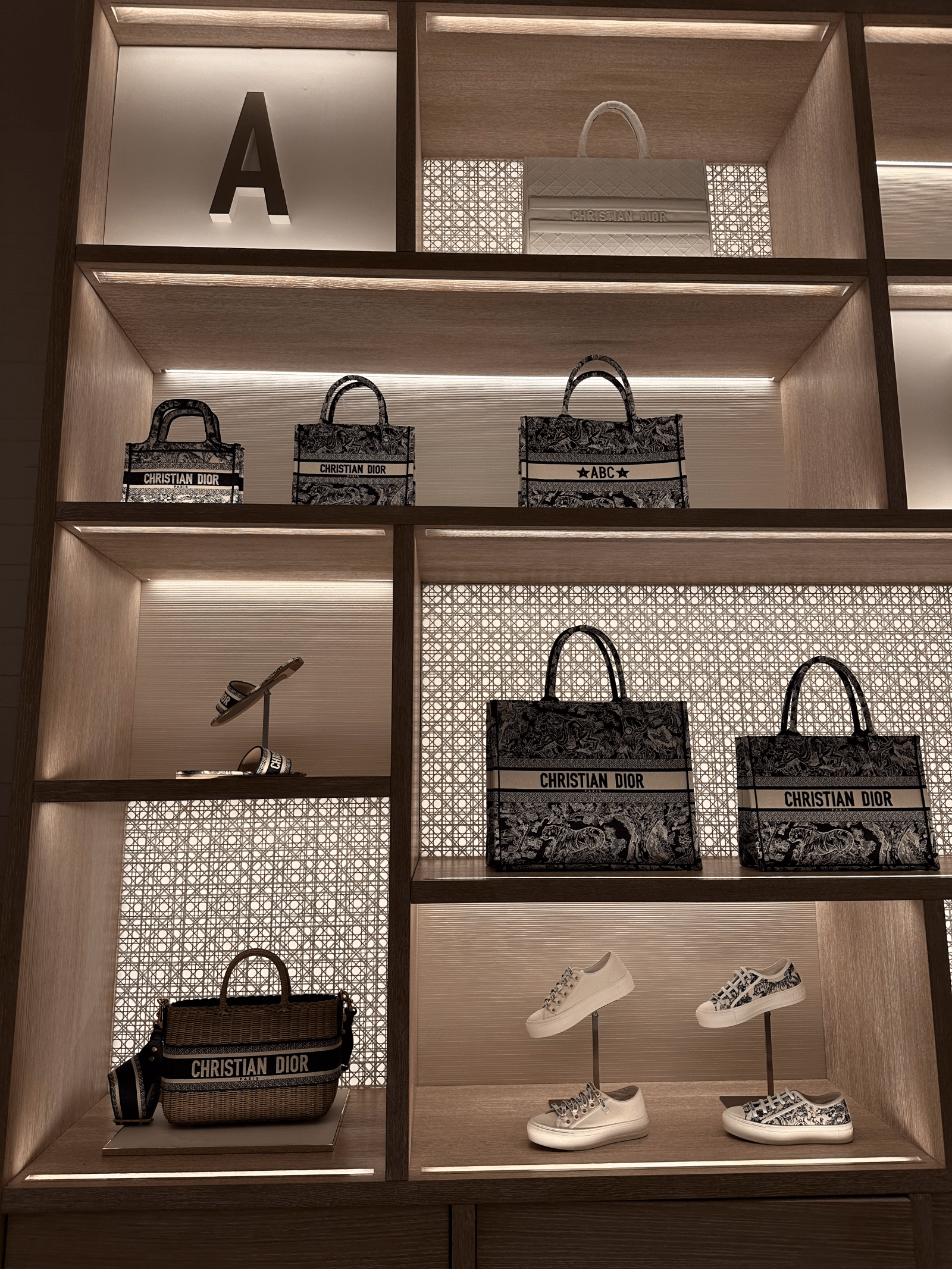 Designer Bags to Buy in Paris Dior Booktote