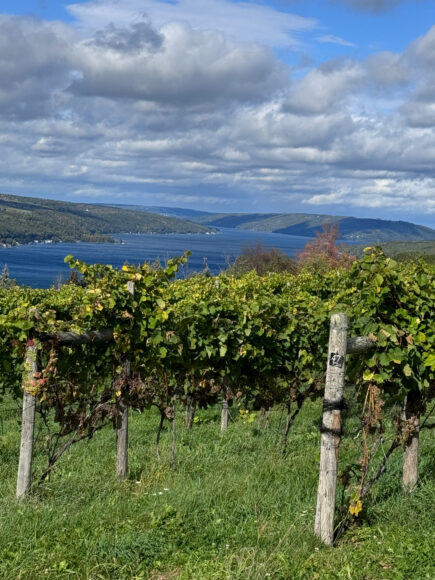 Finger Lakes Travel Guide