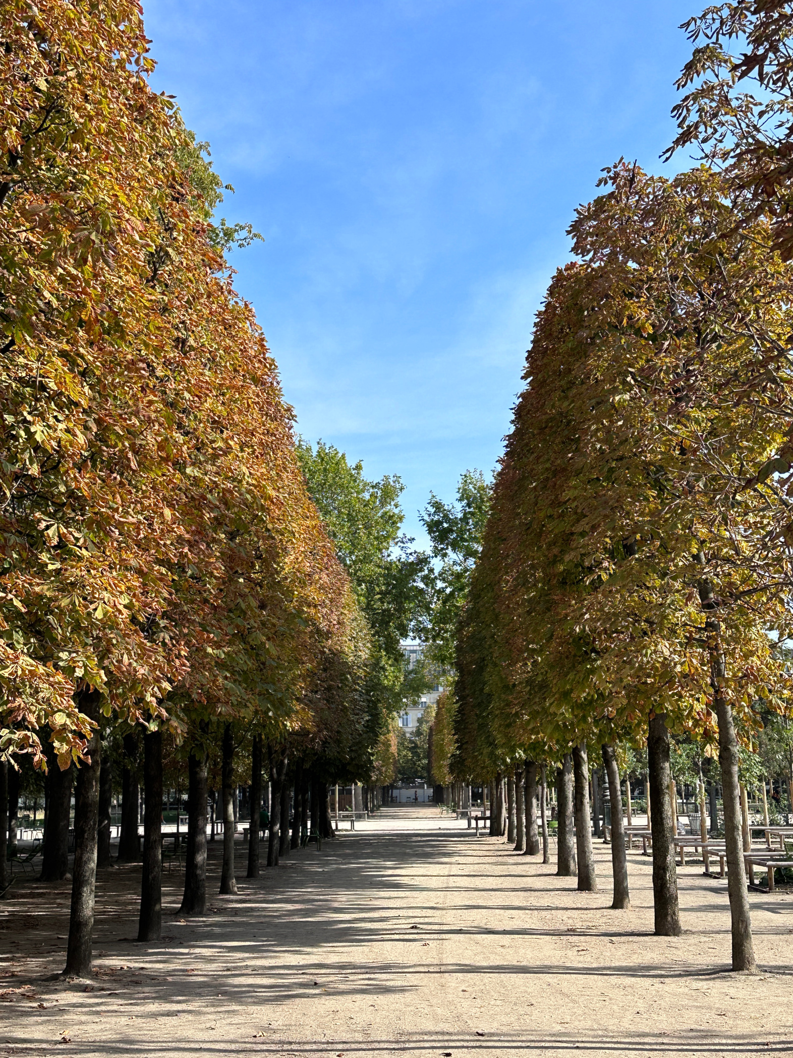 Tuileries Park in Paris